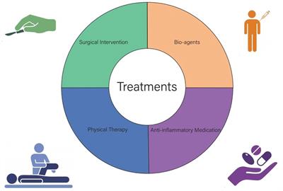 Research progress of knee fibrosis after anterior cruciate ligament reconstruction